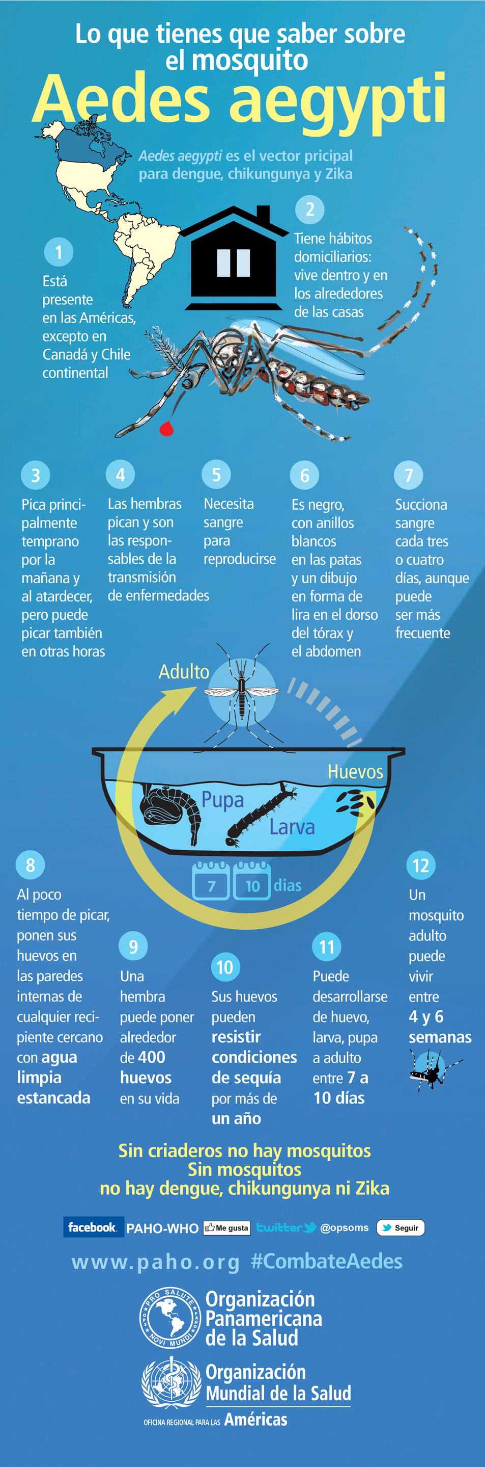 Gráfico realizado por la http://www.paho.org