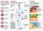 Infográficos sobre el Zika_11