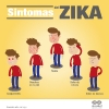 Infográficos sobre el Zika_13