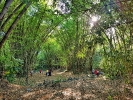 Turista en casa: El Jardín Botánico Nacional