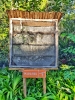 Turista en casa: El Jardín Botánico Nacional
