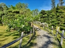 Jardín Botánico Nacional 