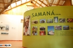 Museo de la Ballena Samaná._13