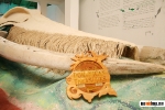 Museo de la Ballena Samaná._4