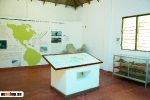 Museo de la Ballena Samaná._7