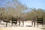 Santuario de Mamíferos Marinos de Estero Hondo_11