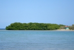 Santuario de Mamíferos Marinos de Estero Hondo_2